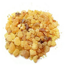 Boswellia